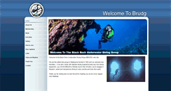 Desktop Screenshot of brudg.org.au